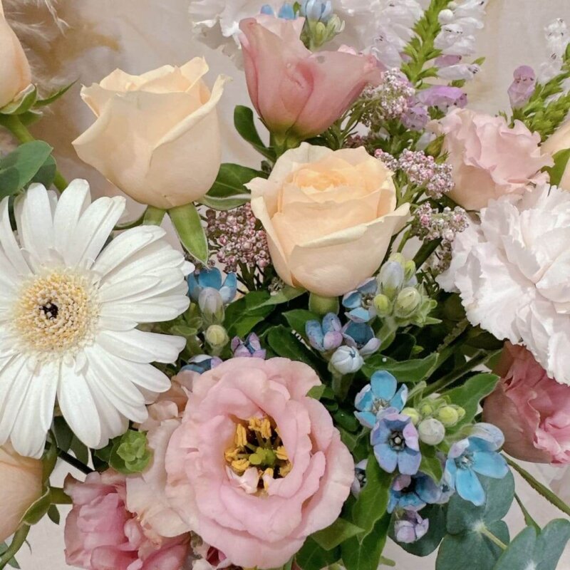 捧花,鮮花捧花,香檳玫瑰,玫瑰,桔梗,小夏桔梗,胸花,鮮花胸花,藍星花