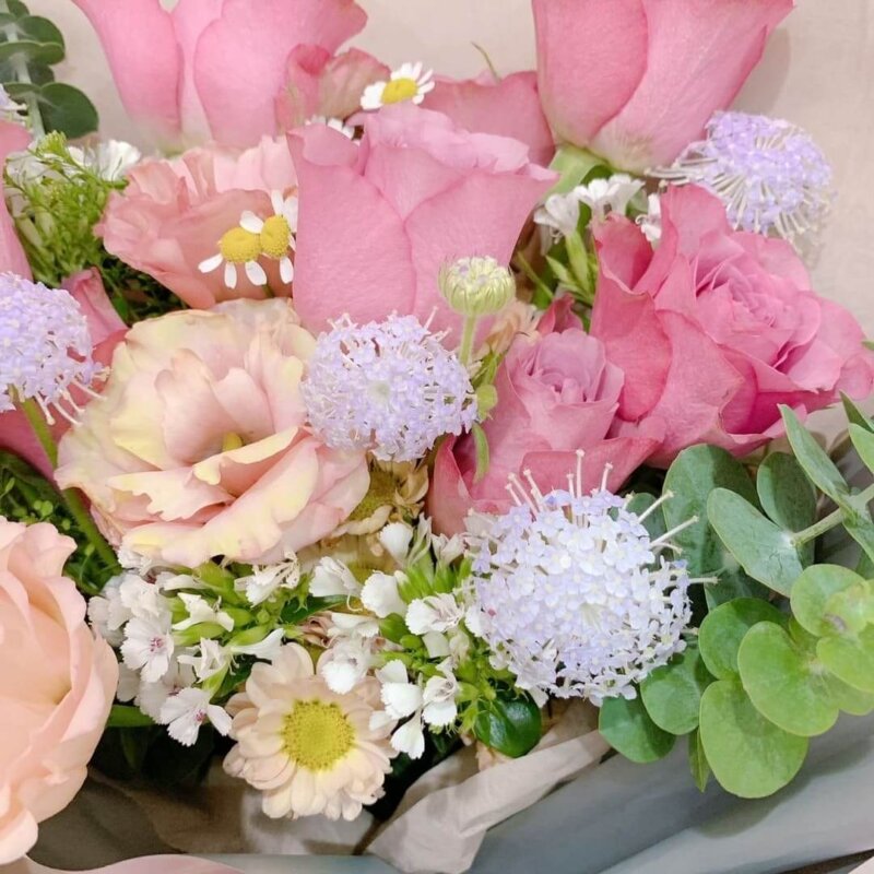 花束,玫瑰,蒙馬特,洋甘菊,翠珠,粉色