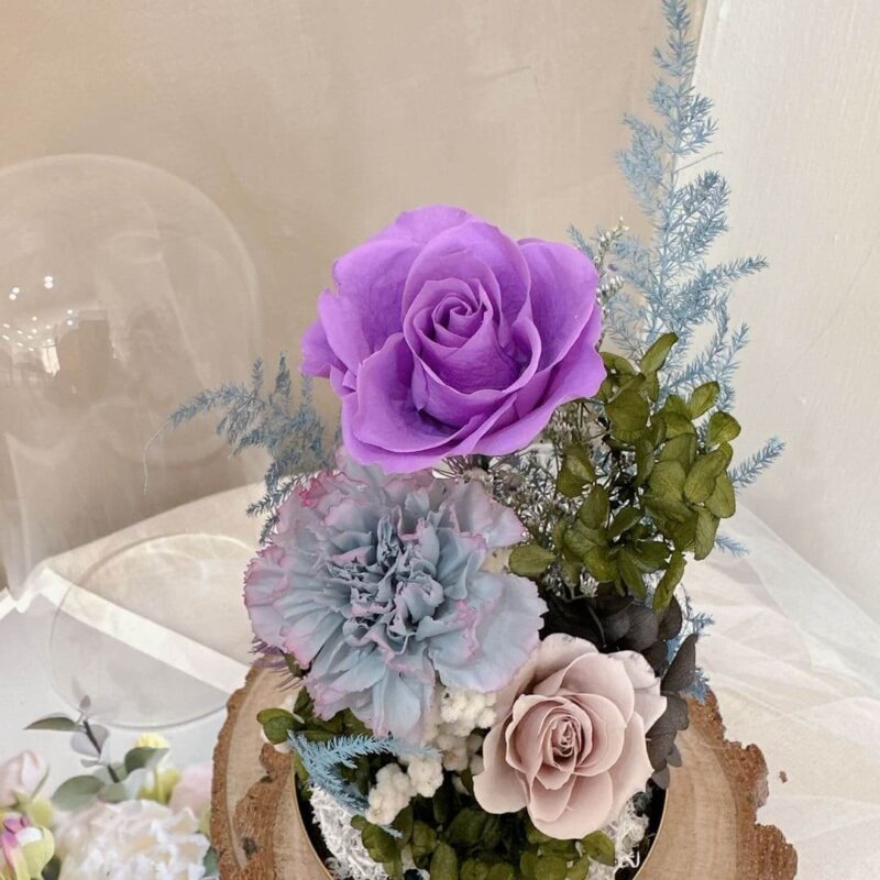 永生花,玫瑰,康乃馨,永生花盅,紫色