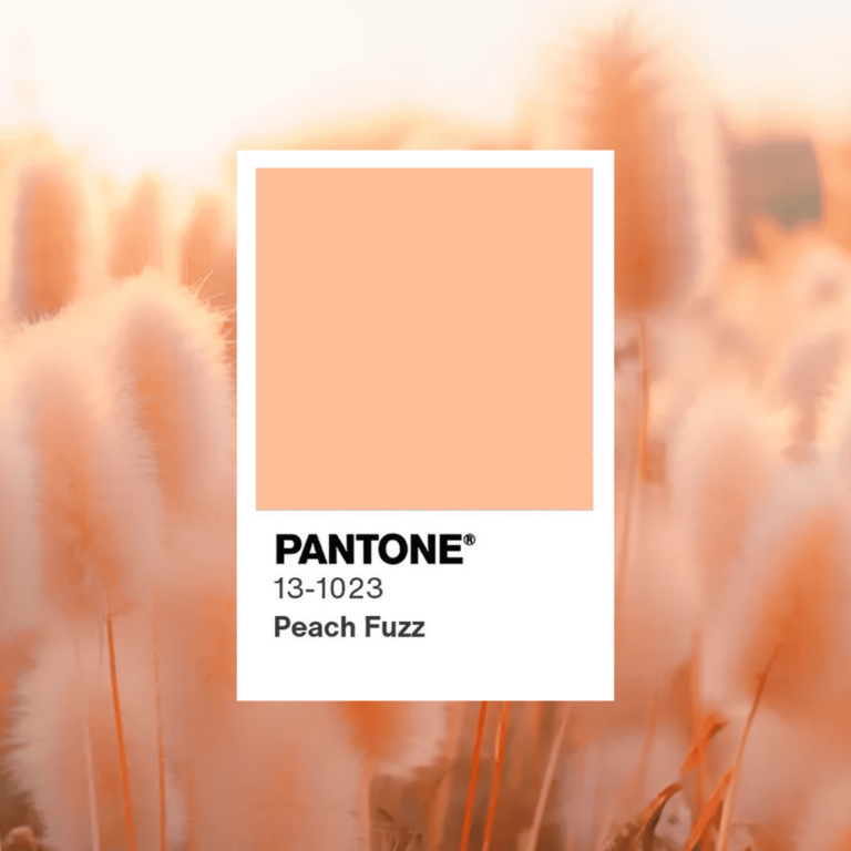 Read more about the article Pantone 2024年度代表色：「柔和桃」